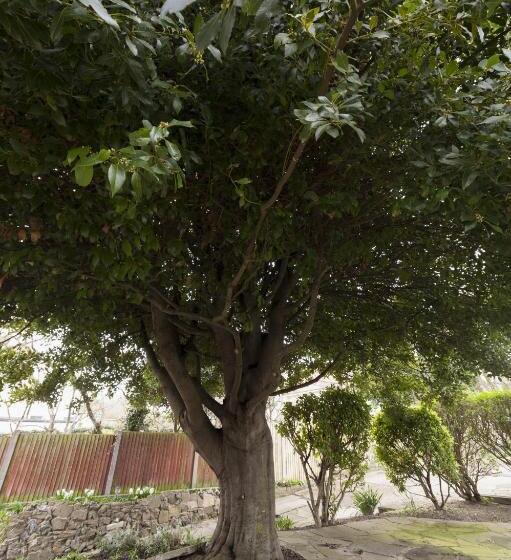 ホテル Bay Tree Broadstairs