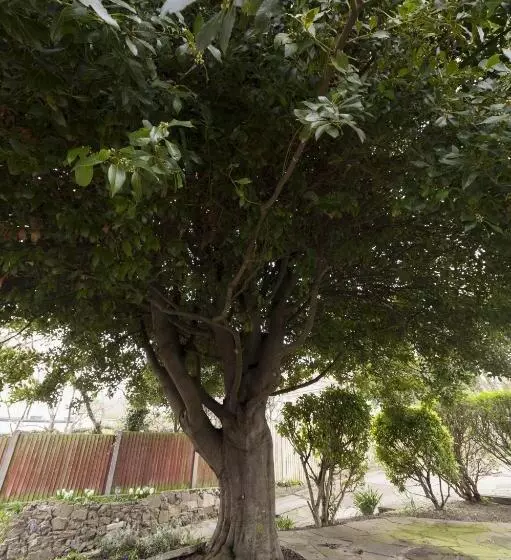 هتل Bay Tree Broadstairs