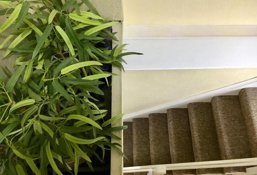 호텔 Brafferton Guest House