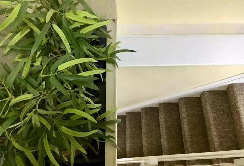 Hotelli Brafferton Guest House