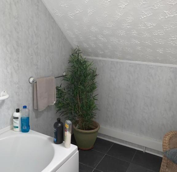 호텔 Brafferton Guest House