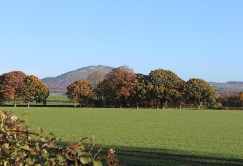 호텔 The Huntsman Of Little Wenlock