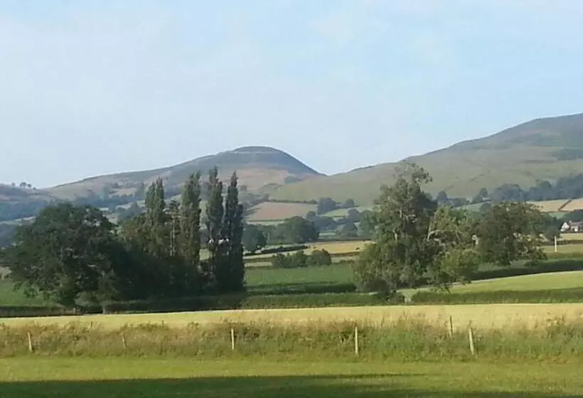 Ty Derw Country House B&b