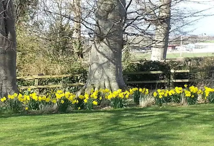 Ty Derw Country House B&b