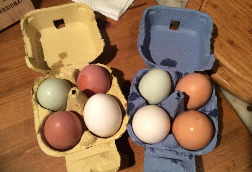 Valley Farmhouse B&b