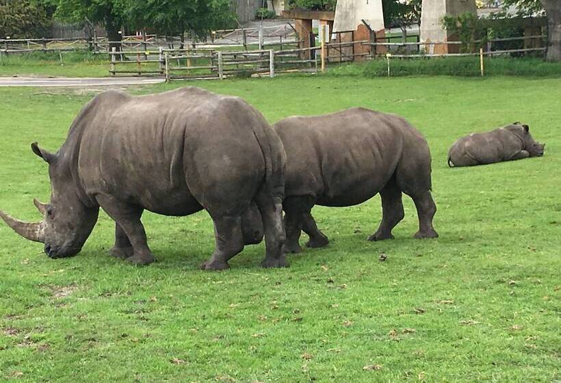 צימר Bewdley Hill House