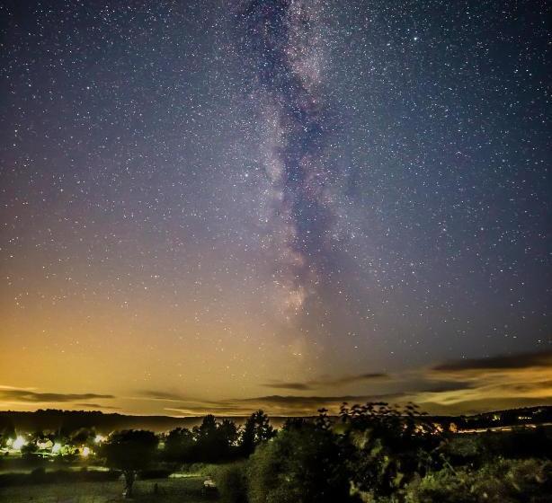 住宿加早餐  Carlton Lodge