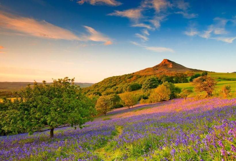 住宿加早餐  Carlton Lodge