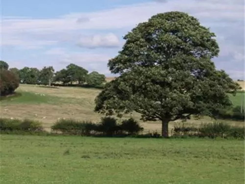 Aamiaismajoitus (B&B) Dove Meadow