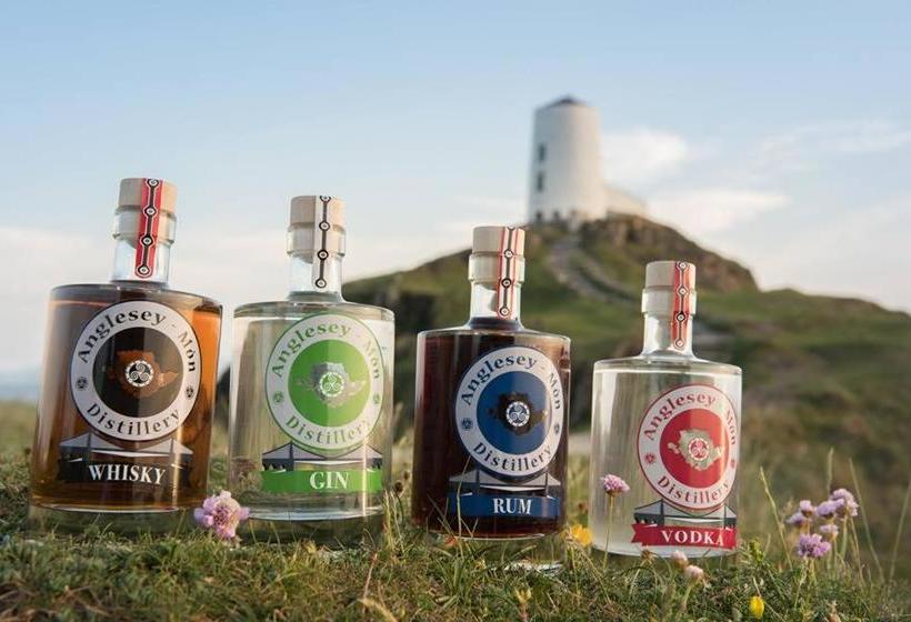 مبيت وإفطار Parc Yr Odyn