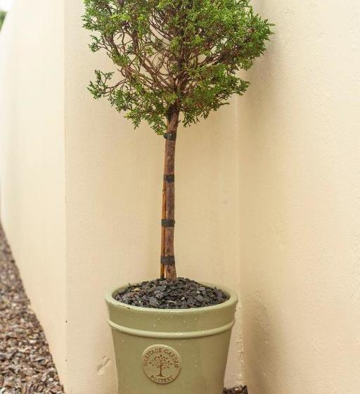 مبيت وإفطار The Great Western