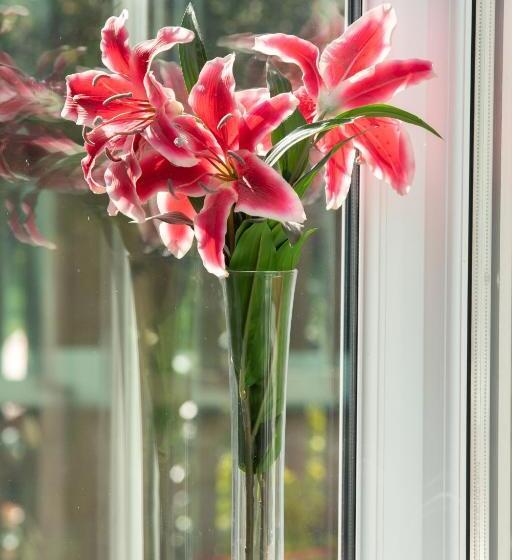 مبيت وإفطار Treherne House & The Malvern Retreat