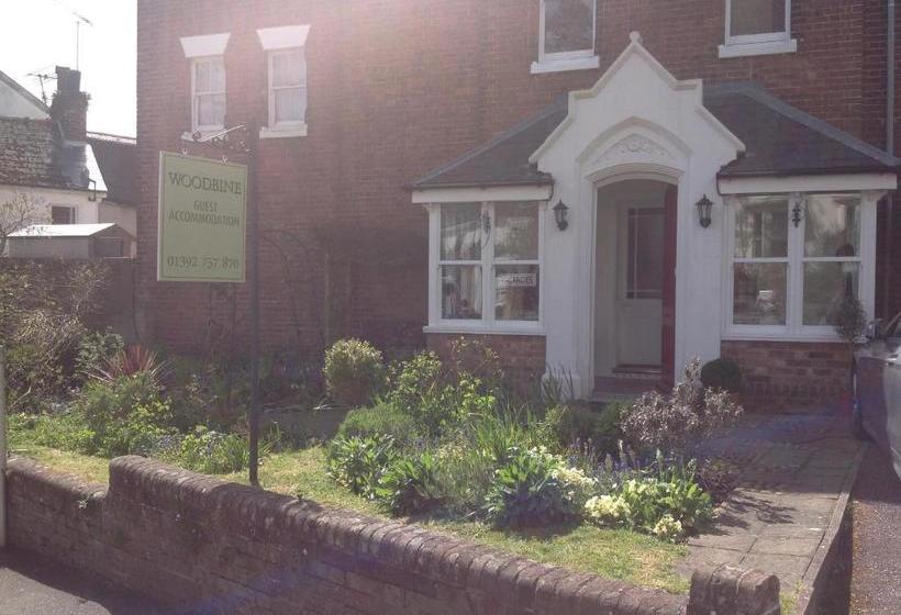 住宿加早餐  Woodbine Guest Accommodation