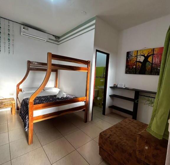 هاستل Hostal Casa Taisha
