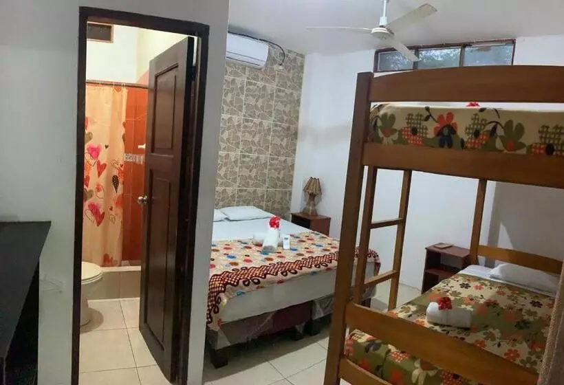 هاستل Hostal Casa Taisha