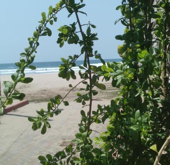 هاستل Hostal Casa Taisha