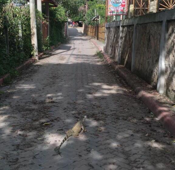 هاستل Hostal Casa Taisha