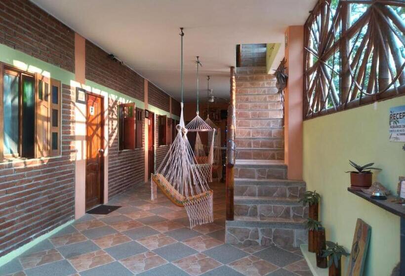 هاستل Hostal Casa Taisha