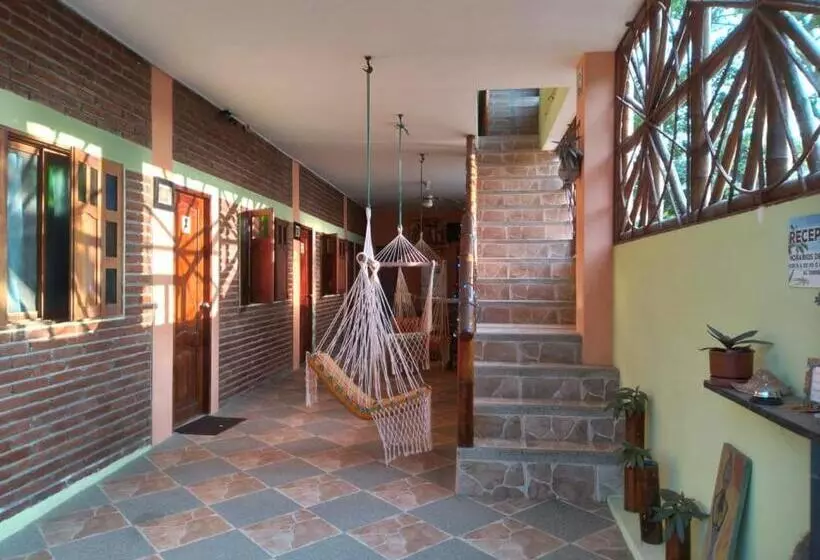هاستل Hostal Casa Taisha