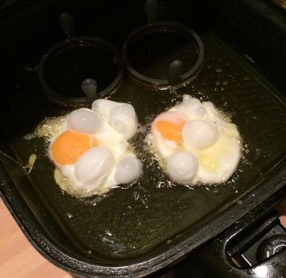 Bed and Breakfast Acorn Guest House In Hull