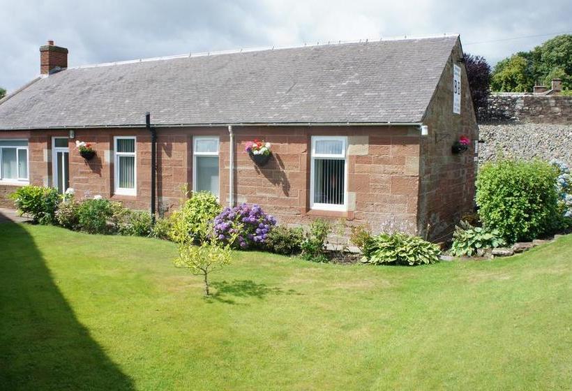 צימר Alexander Guest House