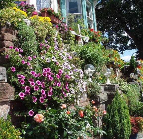 ベッドアンドブレックファースト Swiss Court Guest House