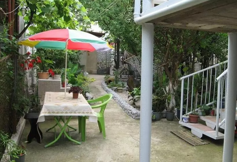 Hostel Temuri