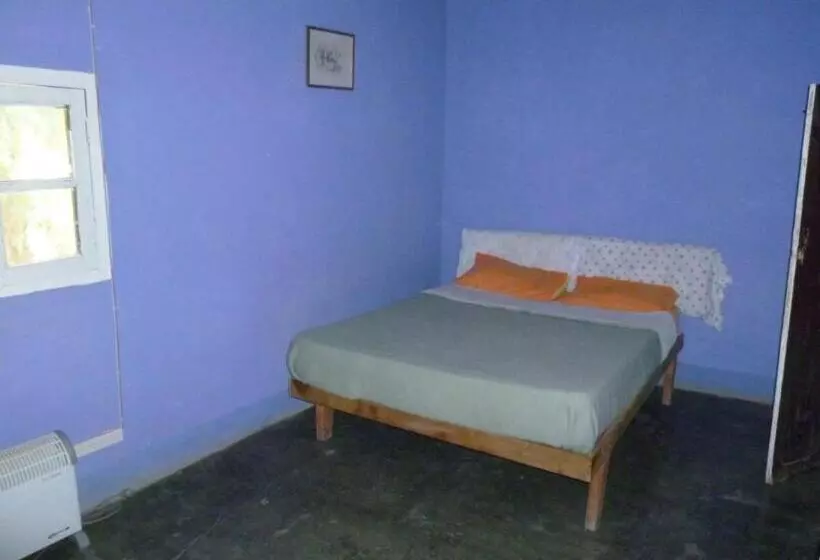 هاستل Casa Colores