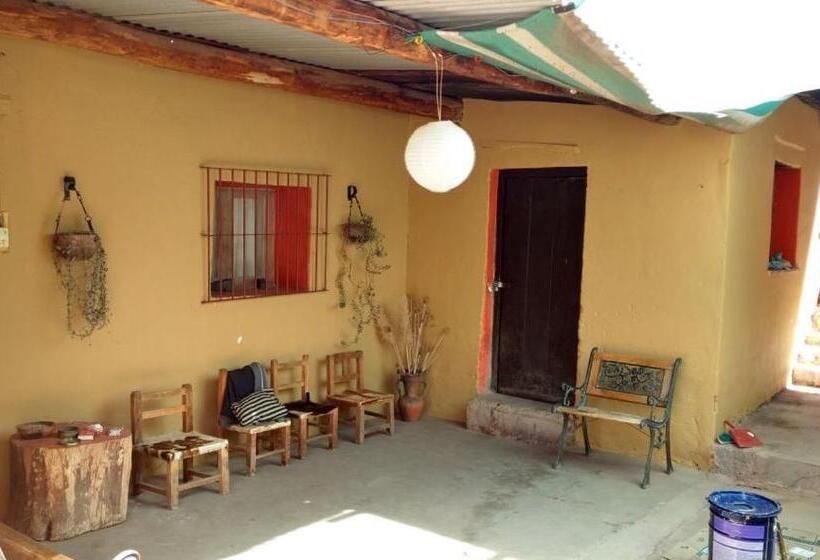 הוסטל Casa Colores