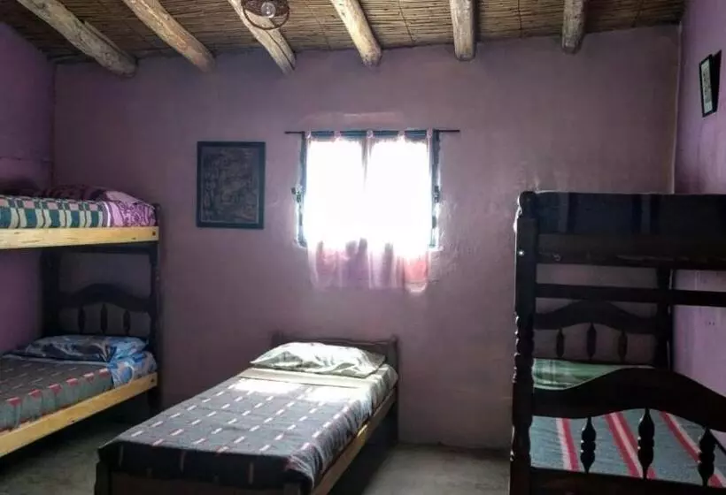 هاستل Casa Colores