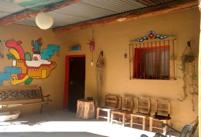 הוסטל Casa Colores