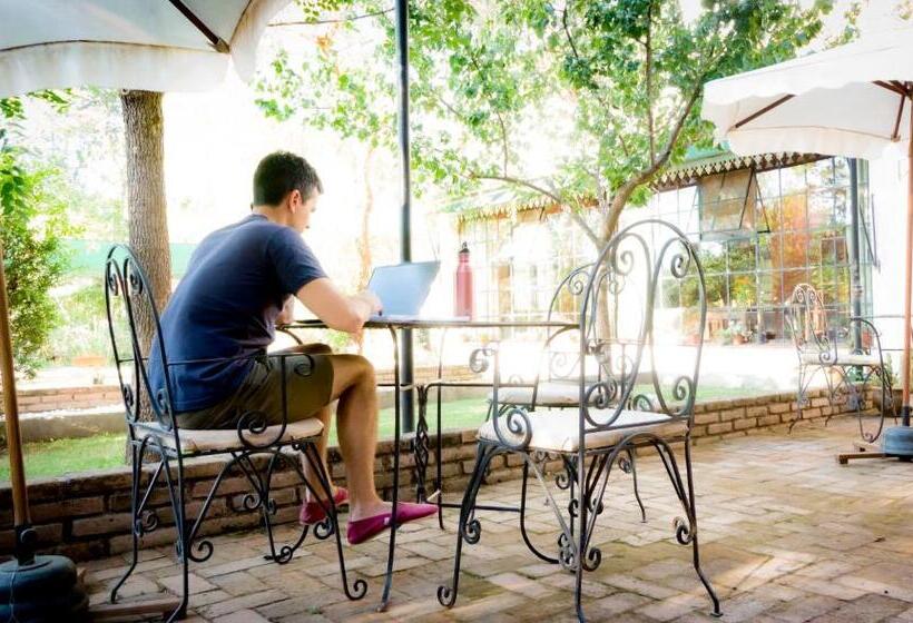 فندق صغير Hostal Las Golondrinas