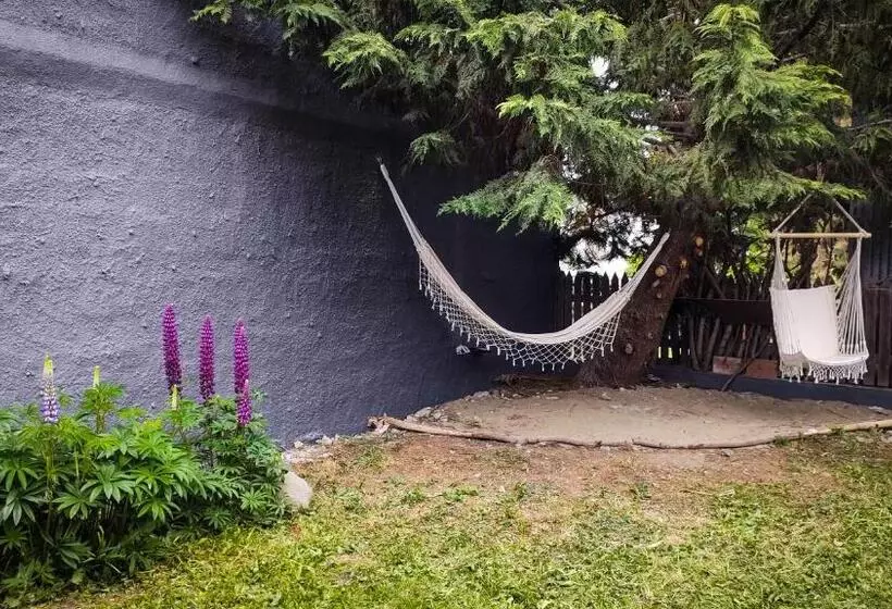 Antarctica Hostel