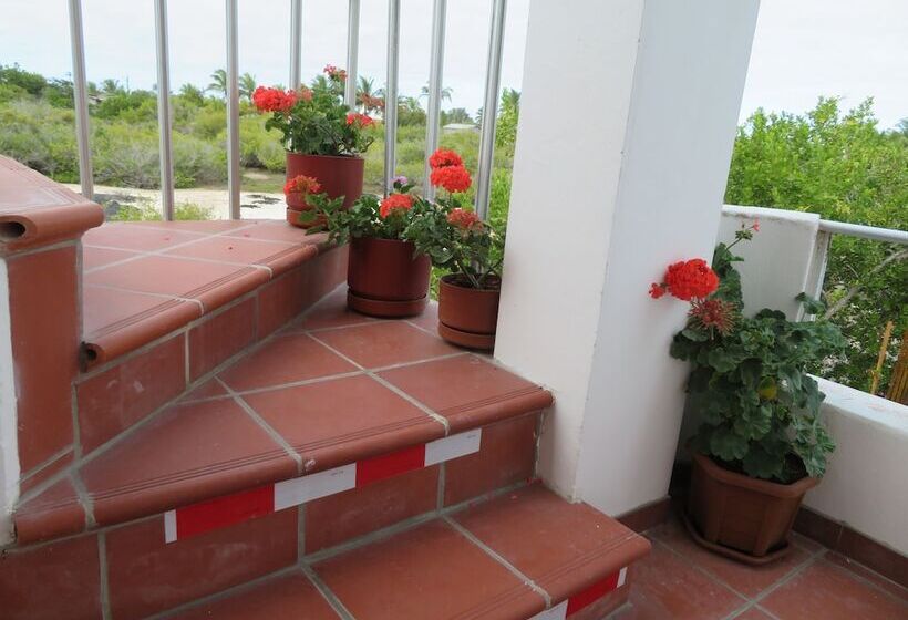 ベッドアンドブレックファースト Drake Inn