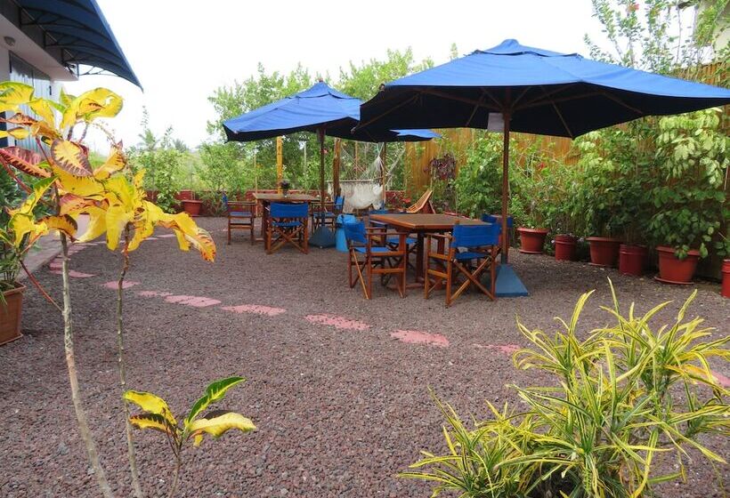 ベッドアンドブレックファースト Drake Inn