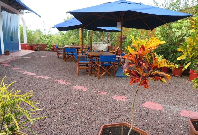 ベッドアンドブレックファースト Drake Inn