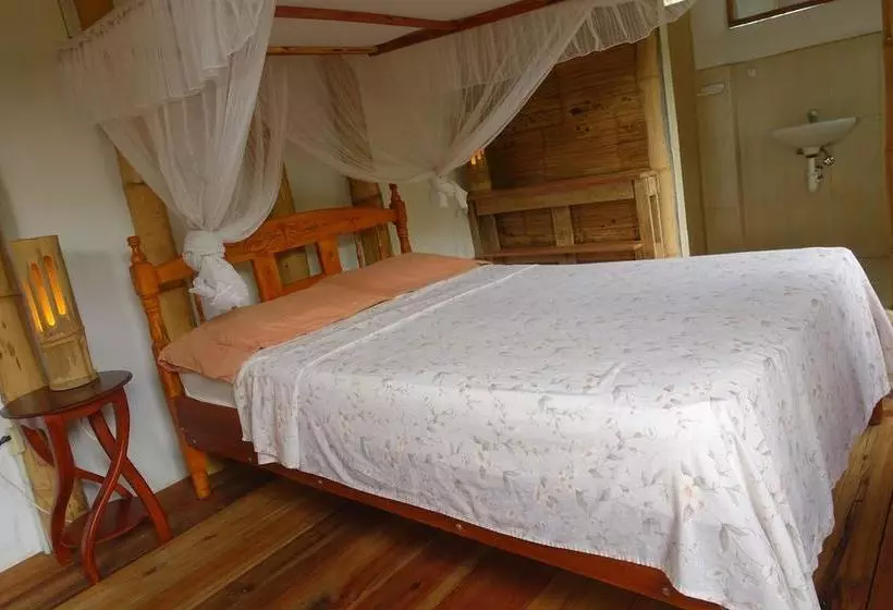 تختخواب و صبحانه Hostal Monte Libano