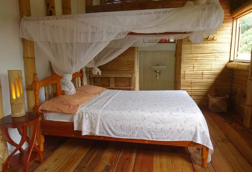 تختخواب و صبحانه Hostal Monte Libano