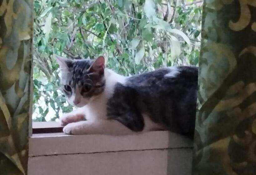 تختخواب و صبحانه Los Tangueros