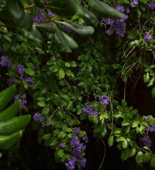 Costanera Mar Hotel & Suites