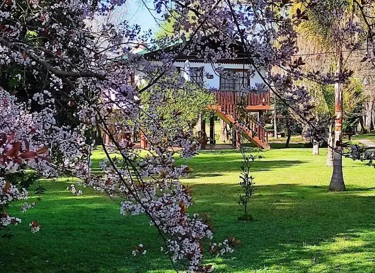 Hotel Alpenhaus Bier Und Gasthaus