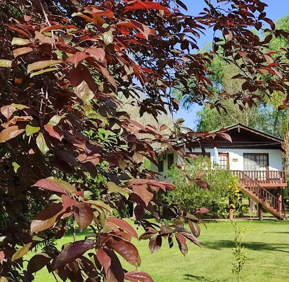 酒店 Alpenhaus Bier Und Gasthaus