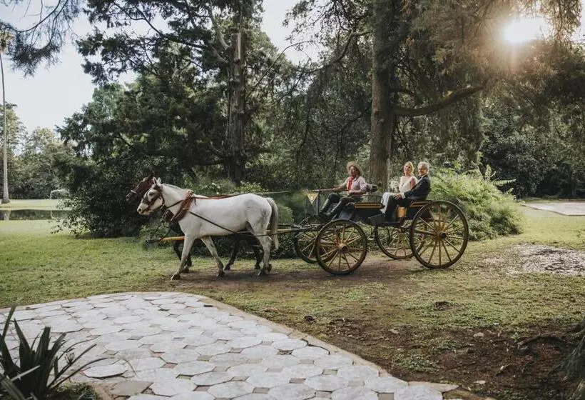 ホテル Estancia Villa Maria