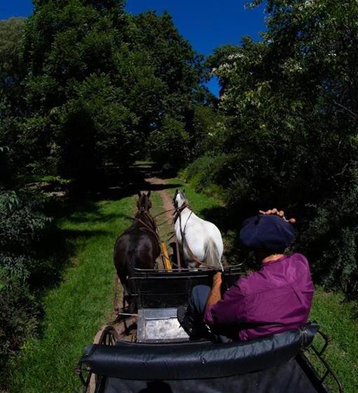 ホテル Estancia Villa Maria