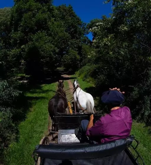 ホテル Estancia Villa Maria