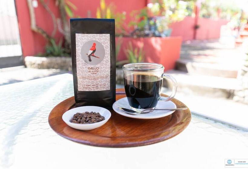 Hotell La Posada Del Arte