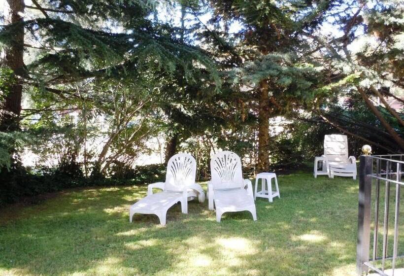 هتل Las Araucarias