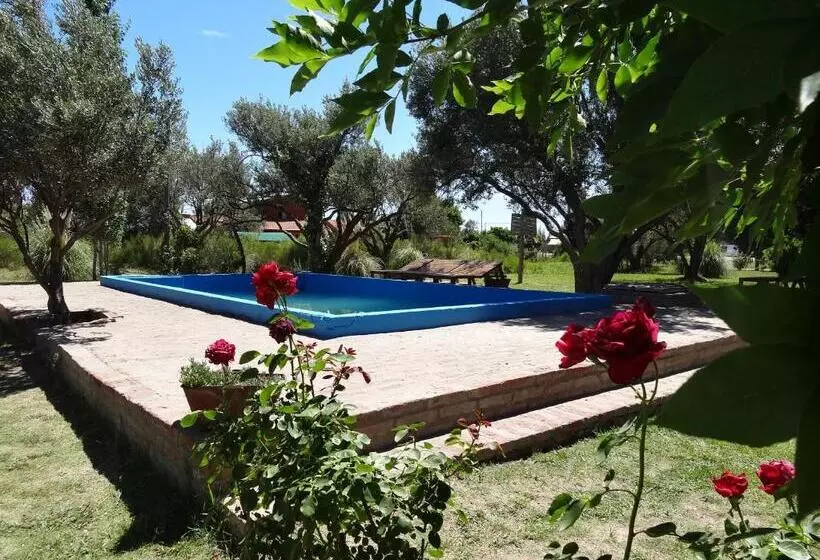 Tree House Hostel