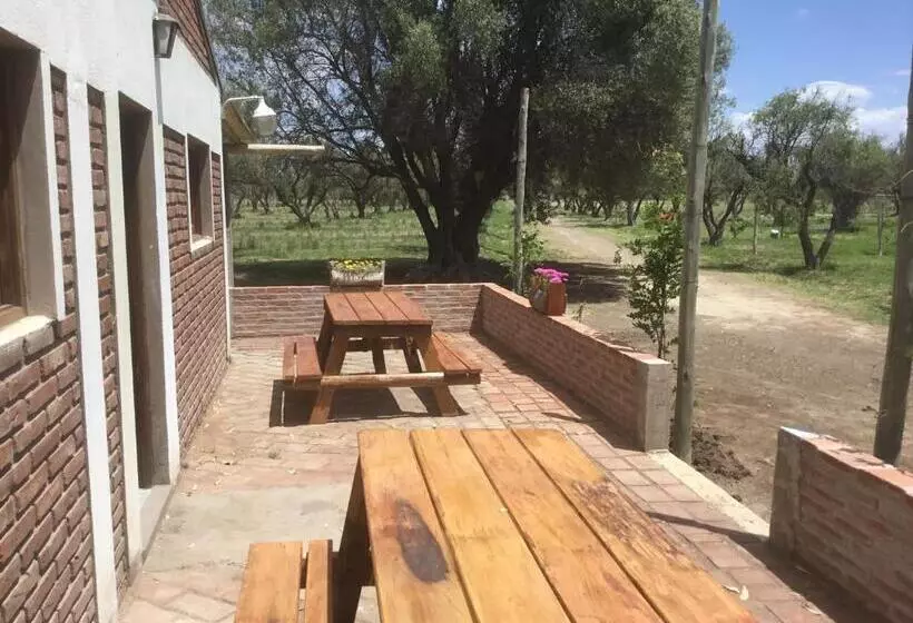 Tree House Hostel