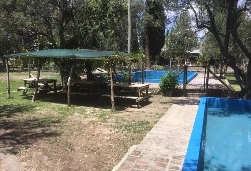Tree House Hostel